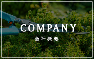 sp_banner_half_company